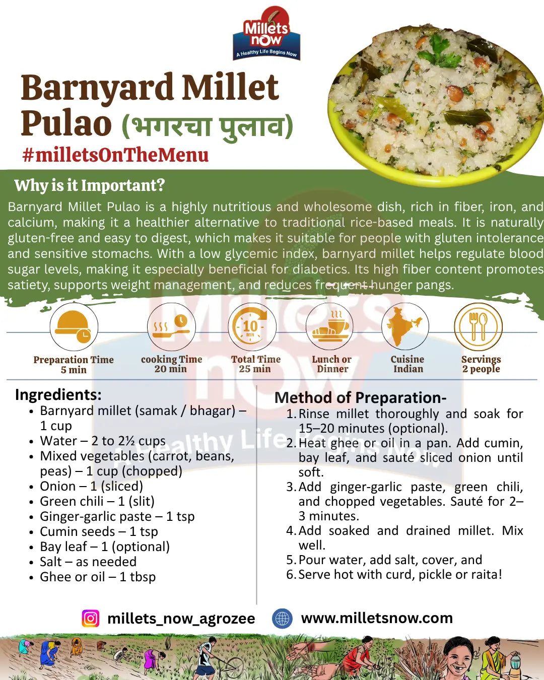 Unpolished Barnyard Millet l Bhagar l 1 kg Millets Now