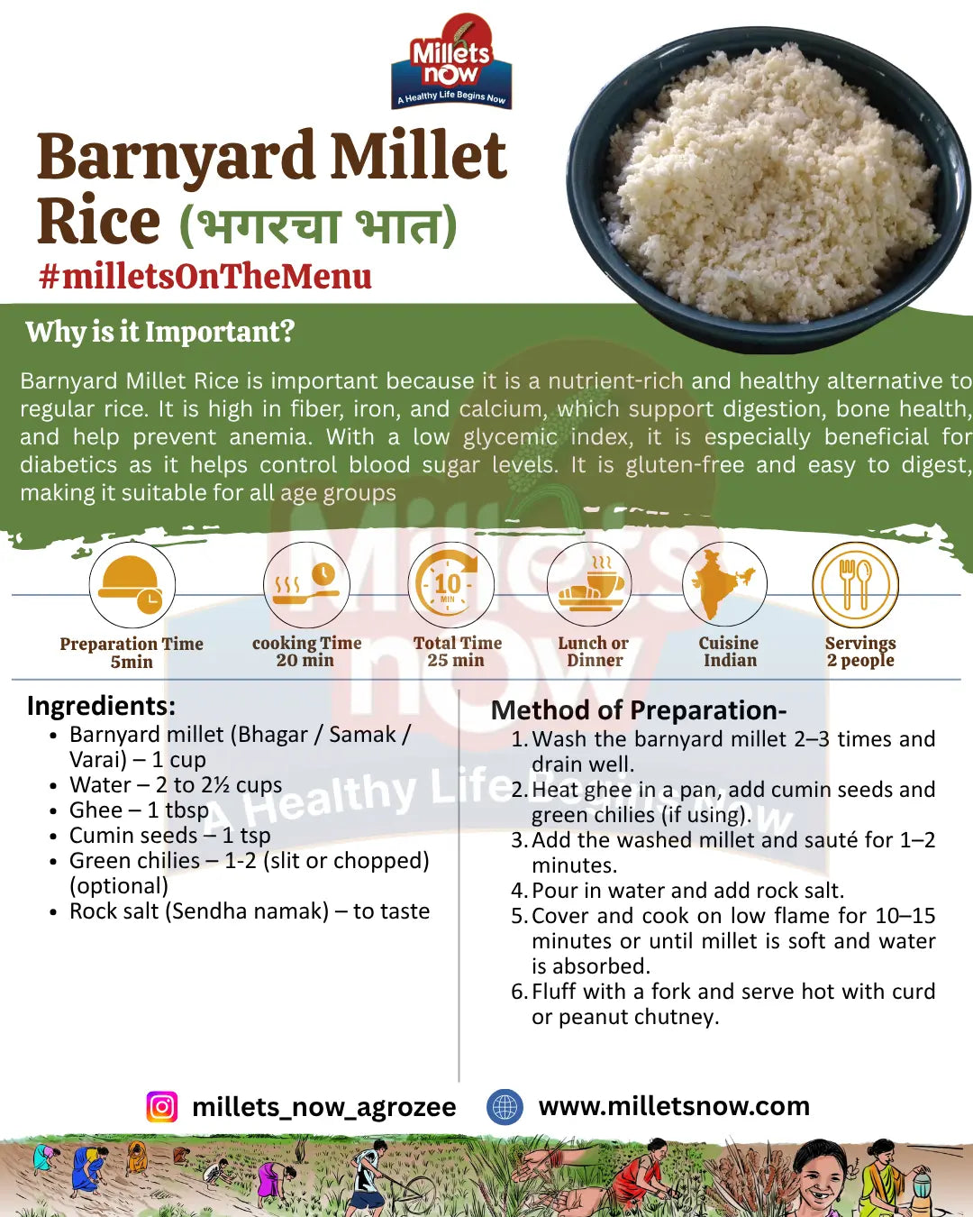 Unpolished Barnyard Millet l Bhagar l 1 kg Millets Now