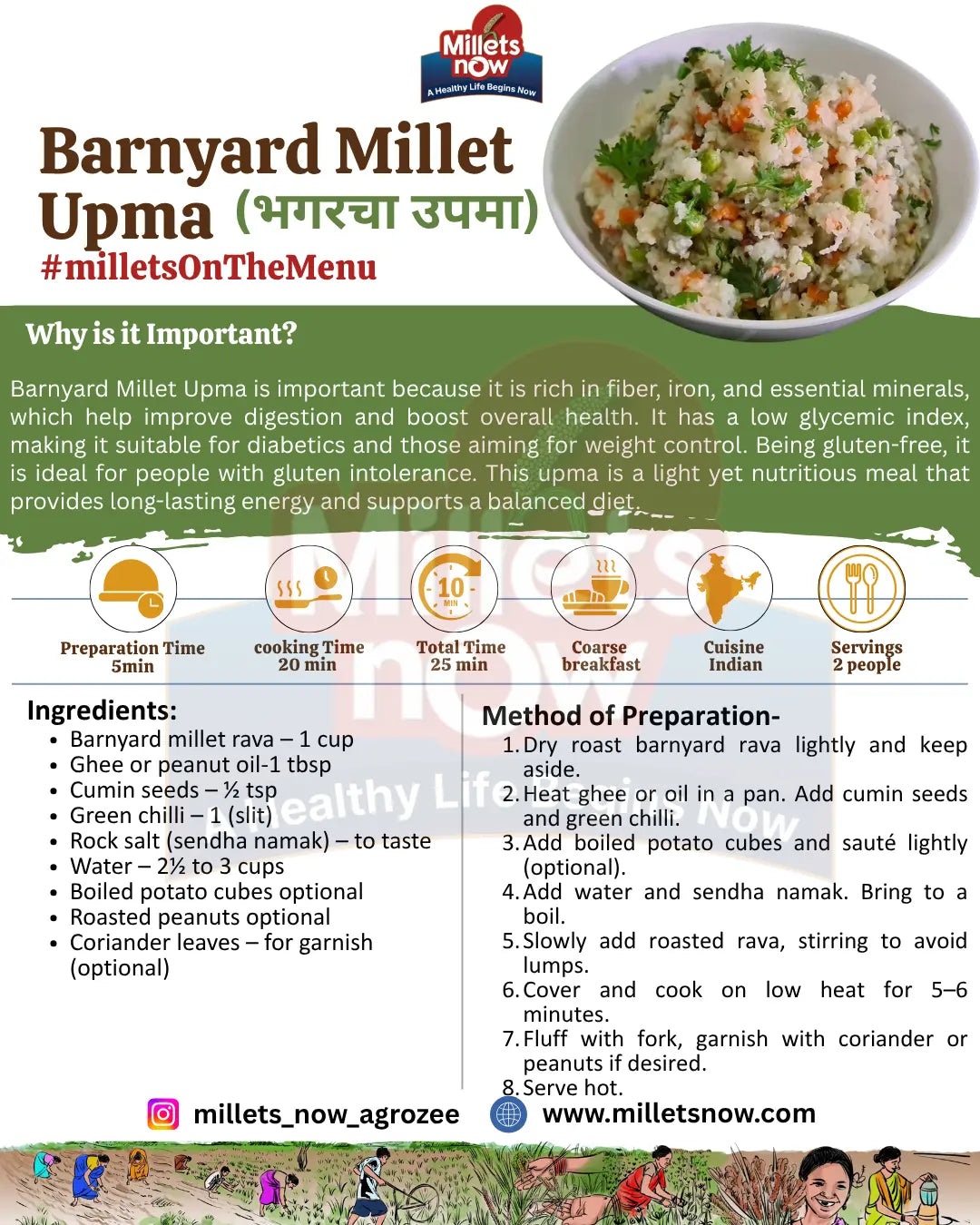 Roasted Barnyard Millet Rava l Bhagar Rava l 500g Millets Now