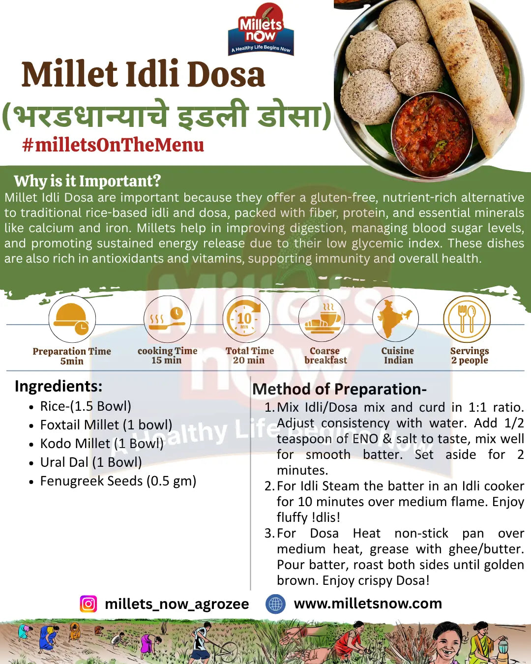 Instant Idli- Dosa Premix | 500g Millets Now