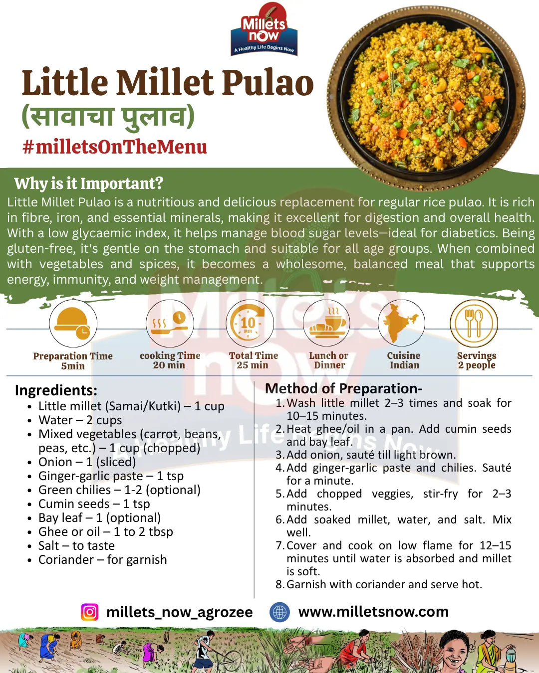 Unpolished Little Millet l Sawa l 1kg Millets Now