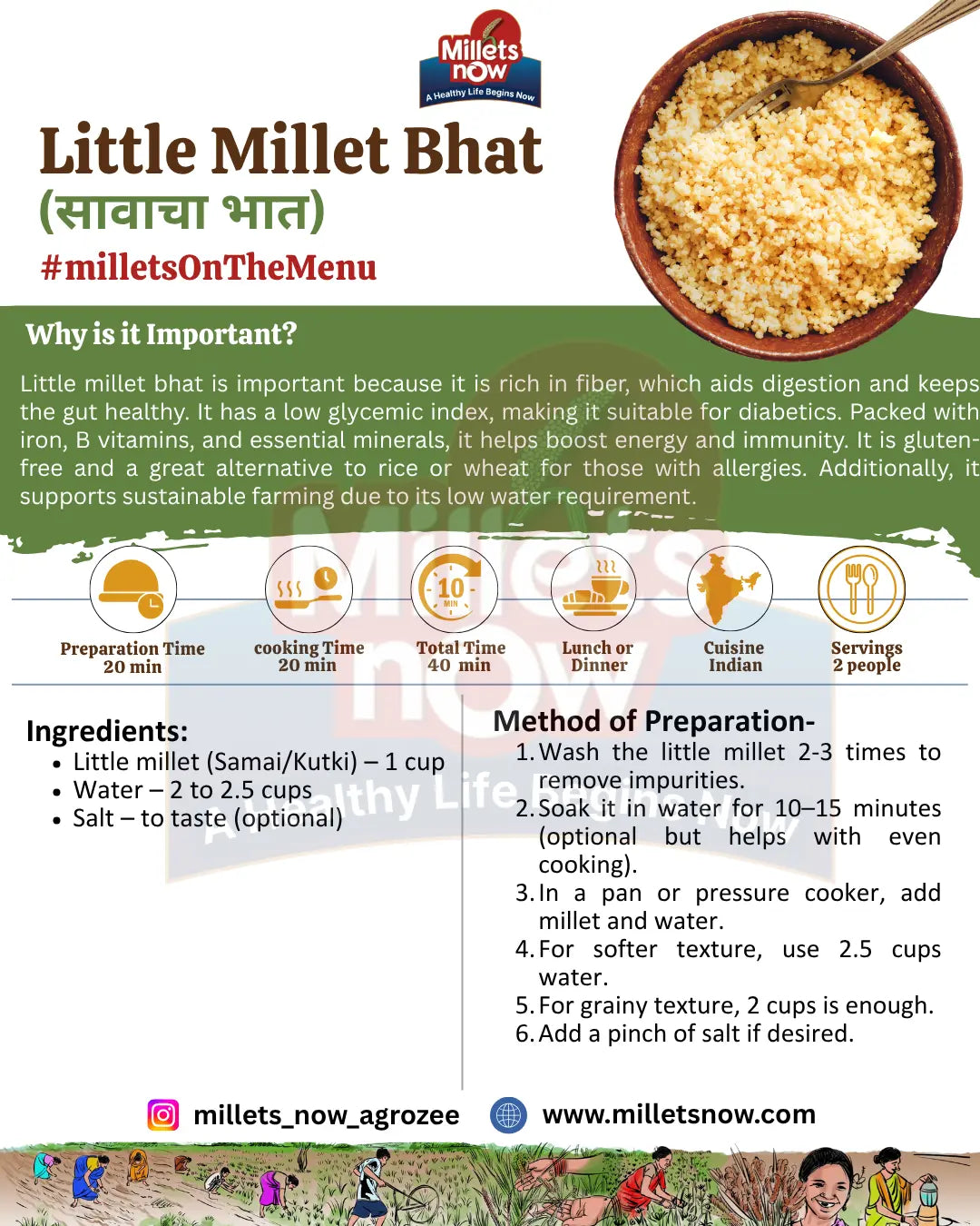 Unpolished Little Millet l Sawa l 1kg Millets Now