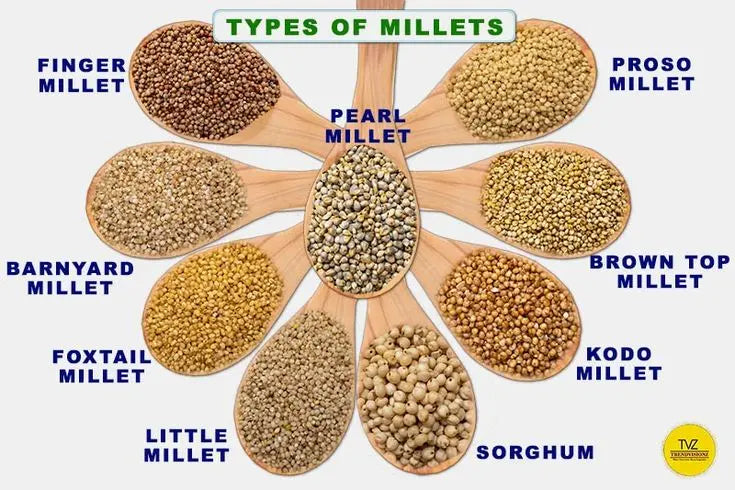 Millets-From-Grains-to-Gains Millets Now