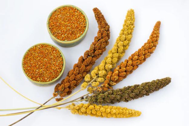 Yellow and brown millet seeds, a nutritious grain used in various cuisines and known for its rich color and texture.