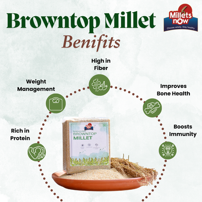 Soaked and Sundried Browntop Millet Flour l Sama Peeth l 500g