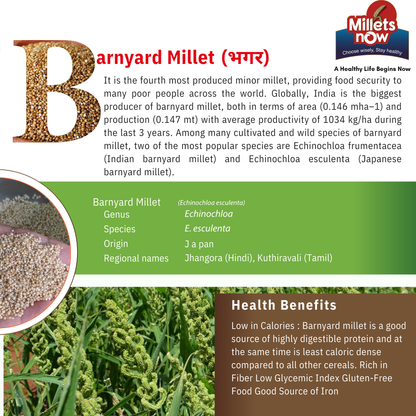 Unpolished Barnyard Millet l Bhagar l 1 kg