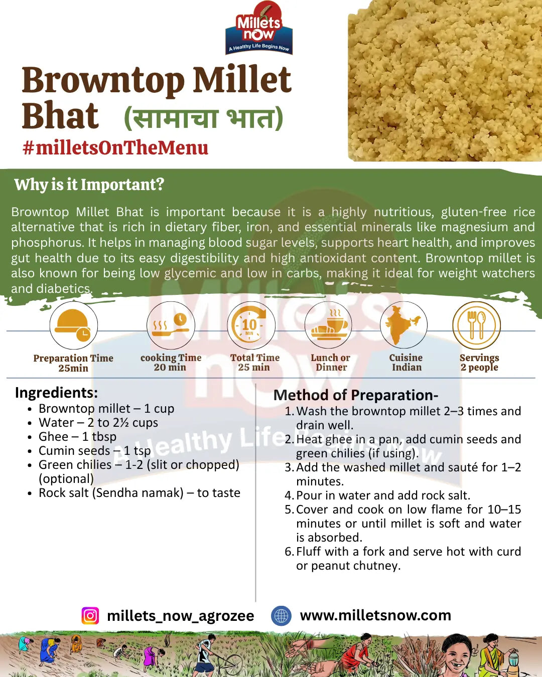 Unpolished Browntop Millet l Sama l 1 kg Millets Now