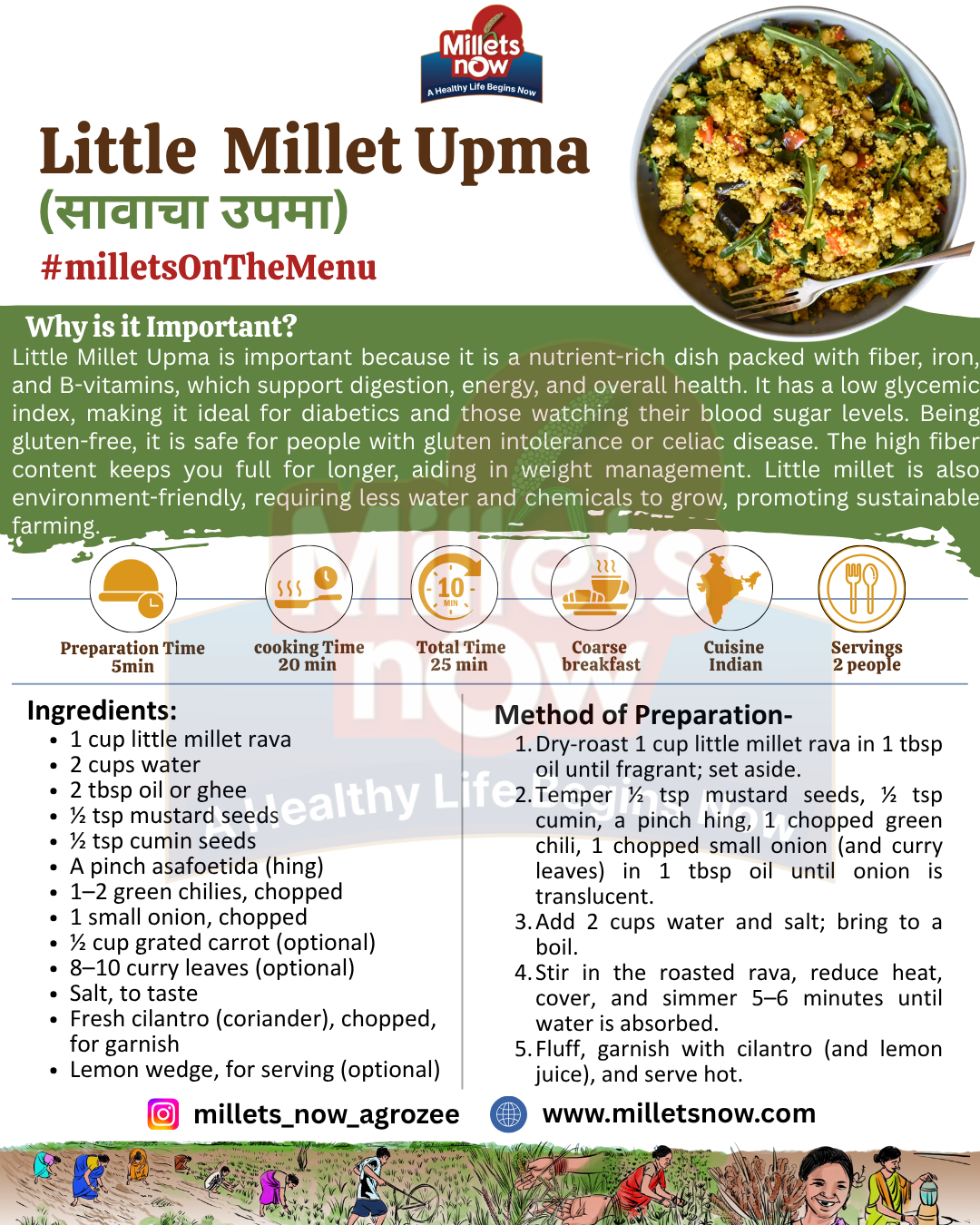 Roasted Jowar Rava l Sorgham Rava l 500g Millets Now