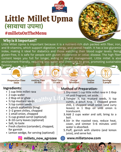 Roasted Jowar Rava l Sorgham Rava l 500g Millets Now