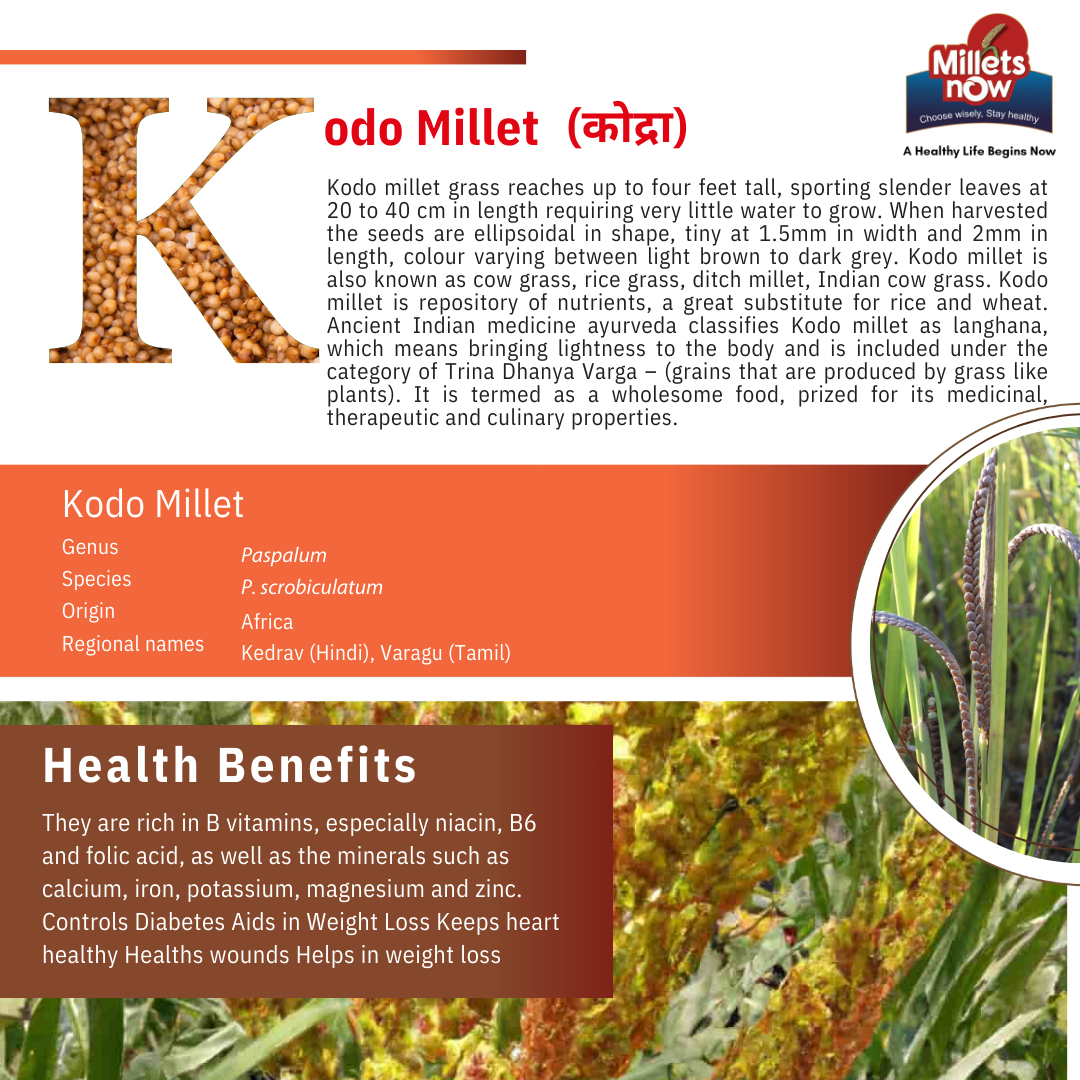 Unpolished Kodo Millet l Kodra l 1kg