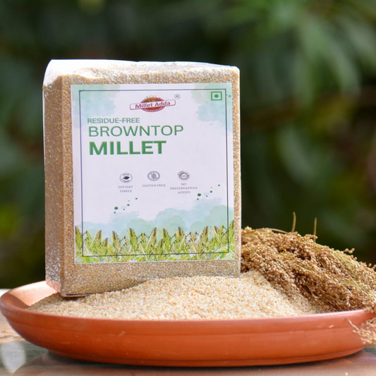 Browntop Millet (Unpolished) Millets Now