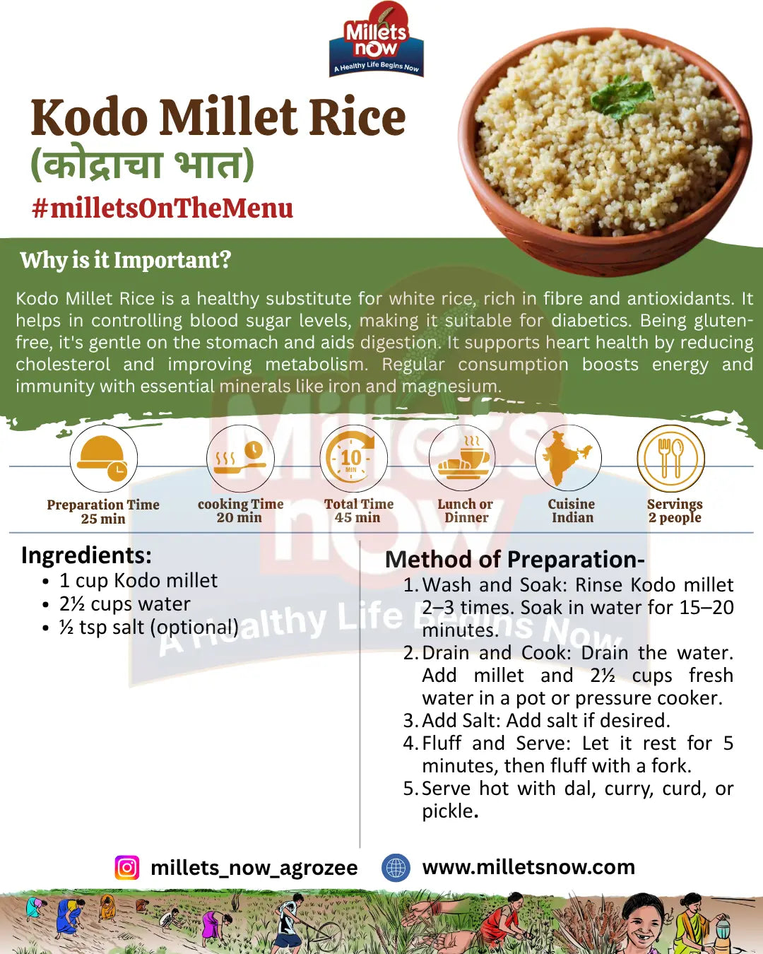 Unpolished Kodo Millet l Kodra l 1kg Millets Now