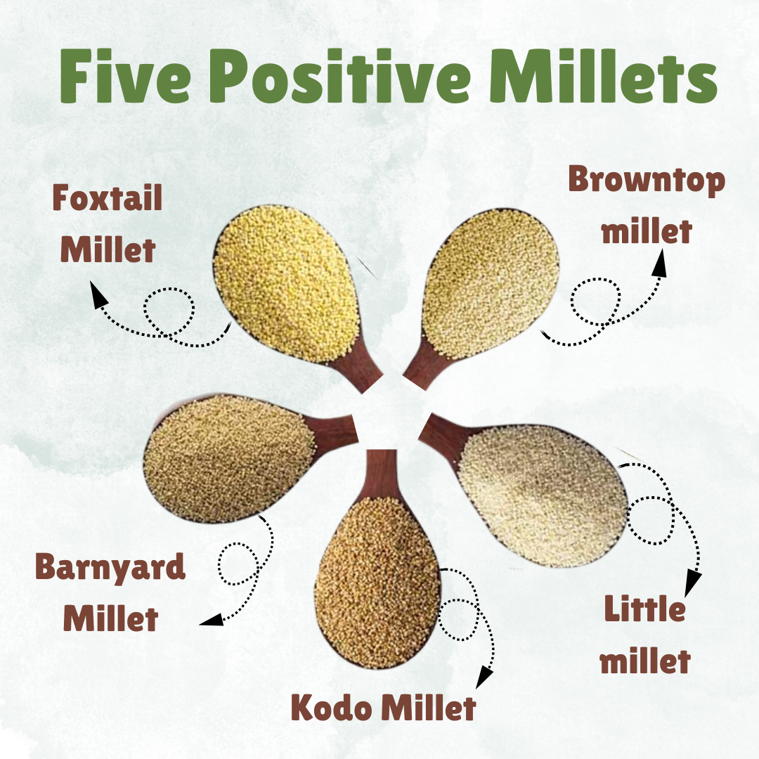 Unpolished Millet Grain Combo 1 kg each | 5 Positive Millet | kodo | barnyard | foxtail | Little | Browntop