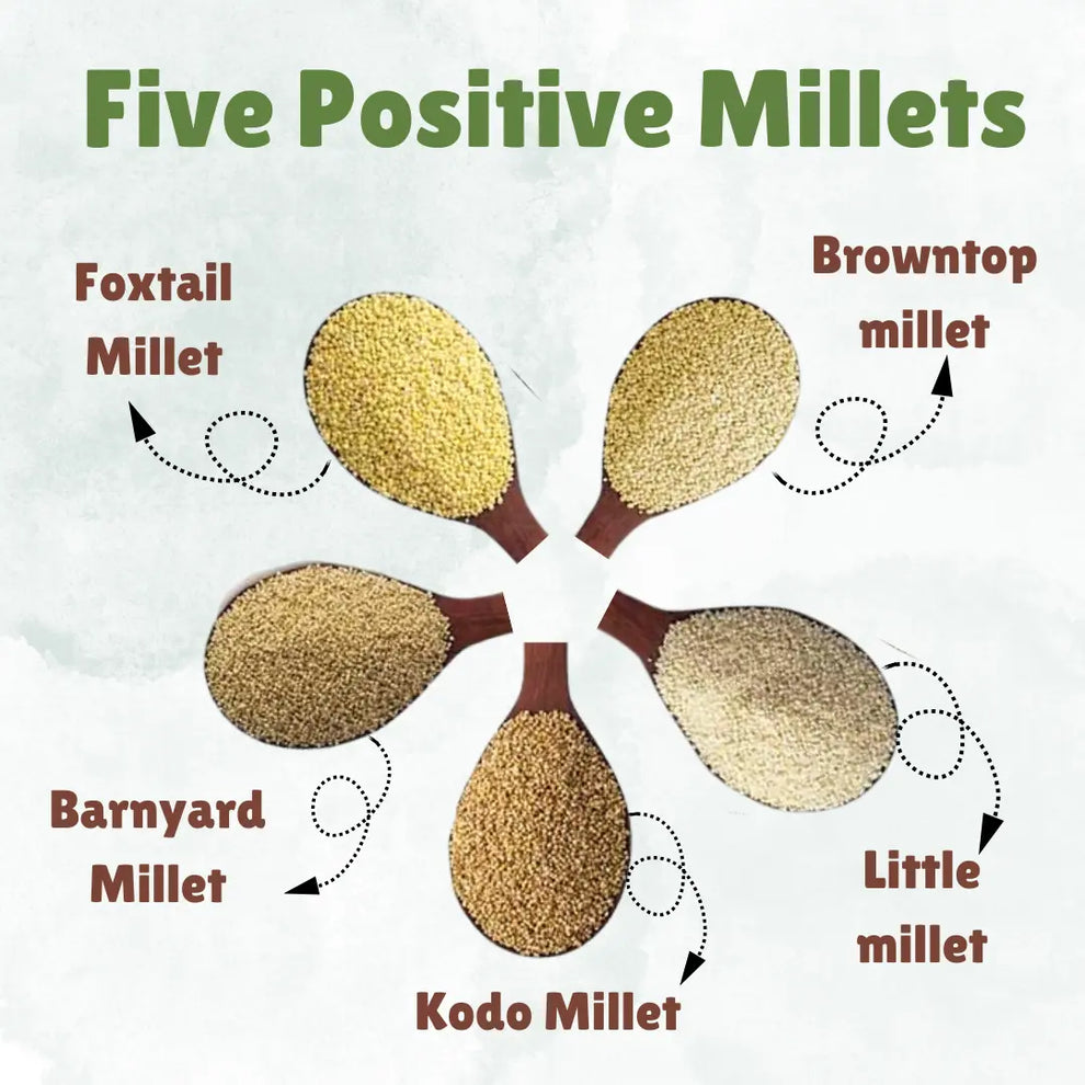 Millet Grain Combo- unpolished | 1 kg each | 5 Positive Millet ...