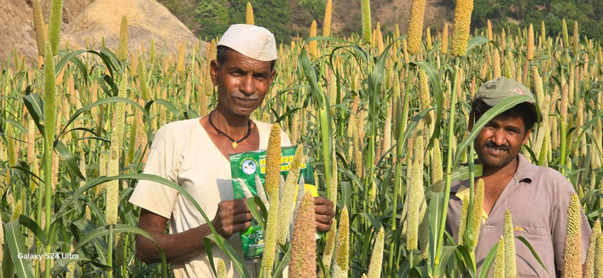 Farmers and their millets